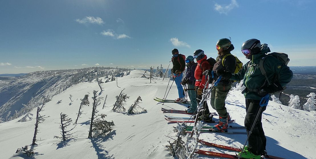 Backcountry ski guiding 